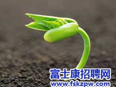 富士康郑州厂区招聘官网：【员工文苑】习惯 