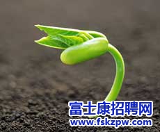 富士康郑州厂区招聘官网：【员工文苑】习惯 